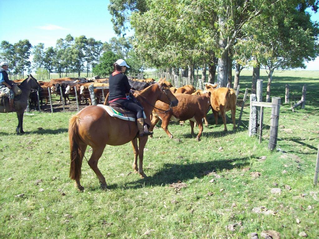 Estancia Turistica La Amorosa 트리니다드 객실 사진