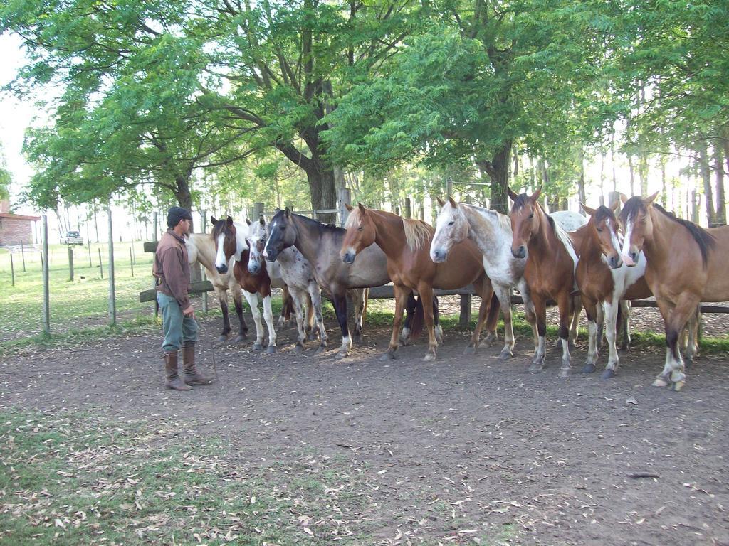 Estancia Turistica La Amorosa 트리니다드 객실 사진